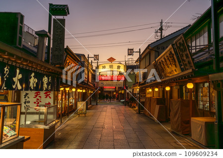[東京]柴又帝釋天參道，昭和復古街景的黃昏 109609234