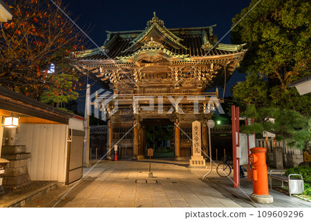 [Tokyo] Shibamata Taishakuten Sando/Showa retro townscape night view 109609296