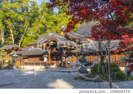 秋天的京都，今宮神社正殿被秋葉覆蓋 109609359