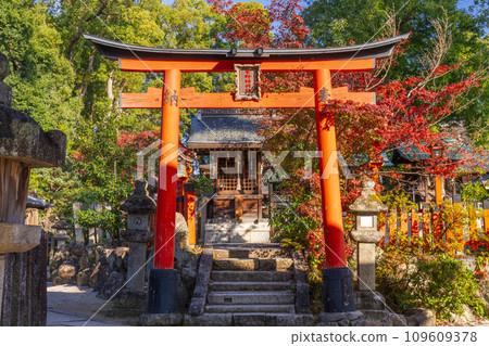 秋天的京都、今宮神社終點神社、被秋葉包裹的紫稻荷神社 秋天的京都、今宮神社終點神社、被秋葉包裹的紫稻荷神社 109609378
