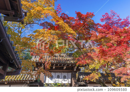 秋天的京都：今宮神社東門被秋葉覆蓋 109609380