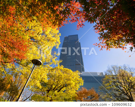 Autumn leaves at Tokyo Midtown Tower and Midtown Garden, Tokyo Autumn leaves at Tokyo Midtown Tower and Midtown Garden, Tokyo 109609632