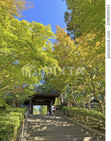 圓覺寺 神奈川縣鎌倉市 109609933