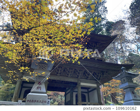 神奈川縣南足柄市大雄山西成寺，秋天，紅葉 109610162