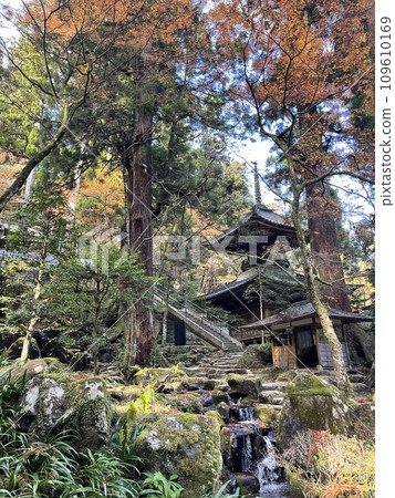 Daiyuzan Saijoji Temple, Minamiashigara City, Kanagawa Prefecture, Autumn, colored leaves 109610169