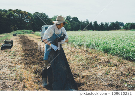 harvest, gents, male 109610281