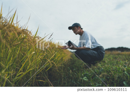 farming, digital tablet, tablet 109610311