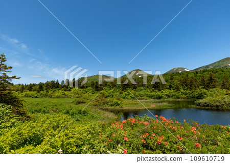 [Hakkoda Mountains, Aomori Prefecture] Beautiful water lily pond and Mt. Hakkoda with fresh greenery and azaleas in full bloom 109610719