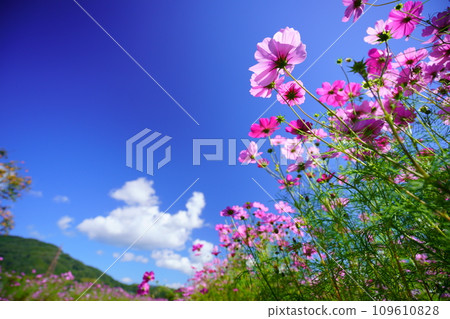 京人峽的秋天：清爽的宇宙 109610828