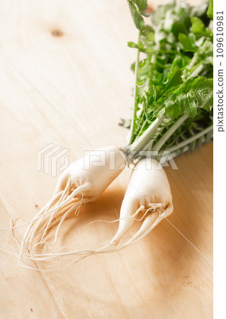 為供奉而栽培的真花蘿蔔 (Futamadaikon) 109610981