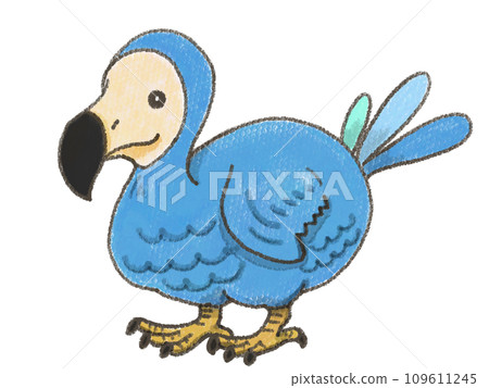 用蠟筆畫的渡渡鳥的插圖 109611245