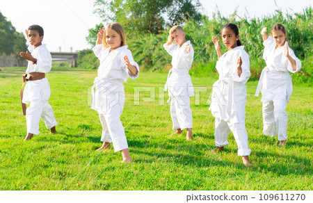 Positive children practicing karate in park Positive children practicing karate in park 109611270