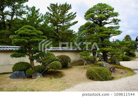 純日式庭園 109611544
