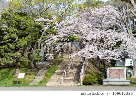 Landscape with stairs in Hakodate Park in spring 109612329