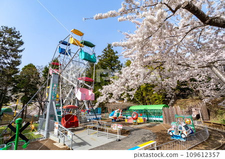 Hakodate Children's Garden in full bloom with cherry blossoms 109612357