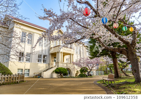 Cherry blossoms in full bloom and Hakodate City Central Library archives 109612358