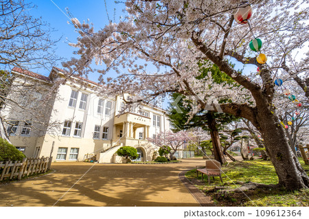 Hakodate City Central Library archives located in Hakodate Park with cherry blossoms in full bloom Hakodate City Central Library archives located in Hakodate Park with cherry blossoms in full bloom 109612364