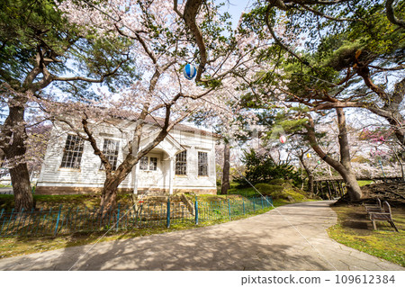 舊函館第一博物館春日的風景 109612384