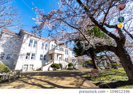 函館市中央圖書館檔案館（舊函館市立圖書館）和清新的櫻花和藍天風景 109612396