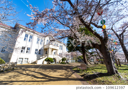 盛開的櫻花和函館市中央圖書館的檔案 109612397