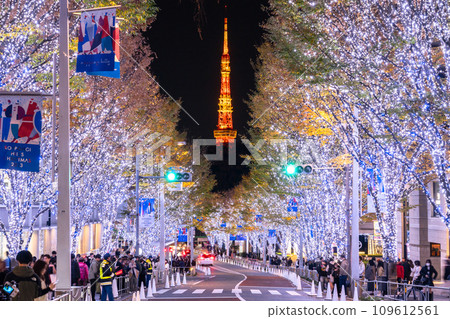 [Tokyo] Roppongi Winter Christmas Illuminations 109612561