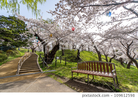 Hakodate Park in full bloom with dazzling morning sun Hakodate Park in full bloom with dazzling morning sun 109612598