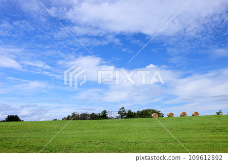 北海道上川郡美瑛町北榮,草捲和藍天的牧場 北海道上川郡美瑛町北榮,草捲和藍天的牧場 109612892