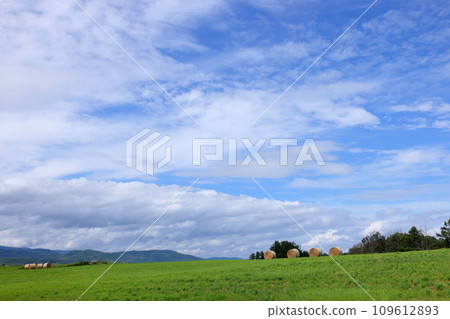 北海道上川郡美瑛町北榮,草捲和藍天的牧場 北海道上川郡美瑛町北榮,草捲和藍天的牧場 109612893
