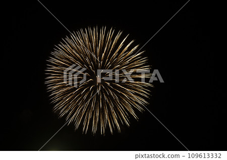Chichibu Night Festival Winter Fireworks 109613332