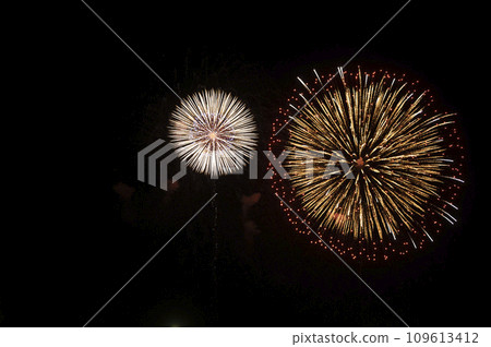 Chichibu Night Festival Winter Fireworks 109613412