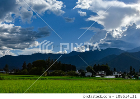 Summer scenery in Shinshu - Rural scenery spreading among the mountains 109614131