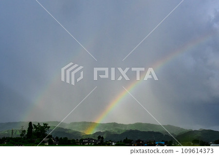 稻田上空出現兩條彩虹 稻田上空出現兩條彩虹 109614373