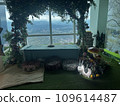 101-Landscape outside the window 109614487