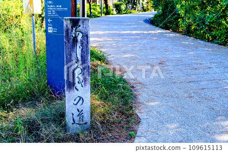 Kyoto, Uji Ajirogi no Michi Kyoto, Uji Ajirogi no Michi 109615113