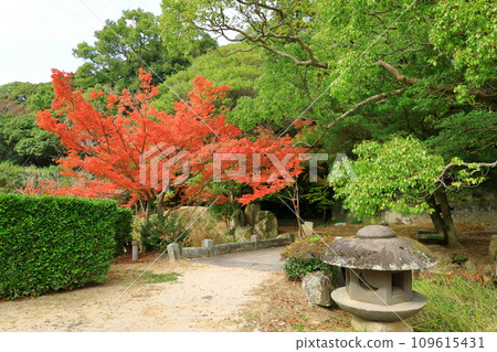 秋天的萩城遺址 指月公園 本丸遺址 秋天的萩城遺址 指月公園 本丸遺址 109615431