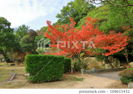 秋天的萩城遺址 指月公園 本丸遺址 秋天的萩城遺址 指月公園 本丸遺址 109615432