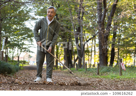 A man collecting fallen leaves in the park A man collecting fallen leaves in the park 109616262