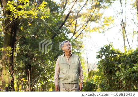 老人在公園散步 109616439