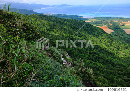 石垣島能總山的風景 石垣島能總山的風景 109616861