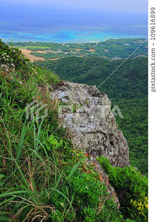 Scenery from Mt. Nosoko, Ishigaki Island 109616899