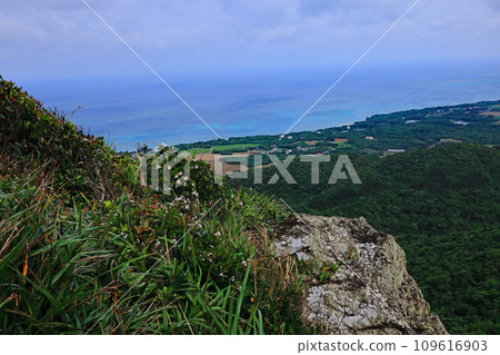 石垣島能總山的風景 石垣島能總山的風景 109616903