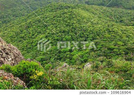 石垣島能總山的風景 石垣島能總山的風景 109616904