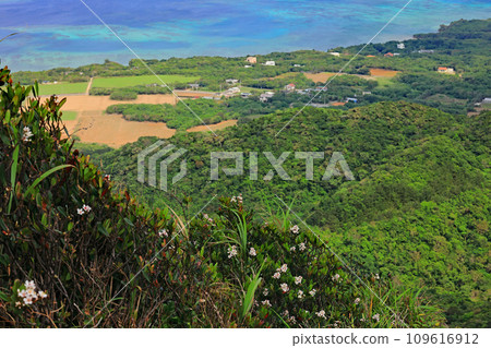 石垣島能總山的風景 109616912