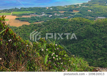 石垣島能總山的風景 石垣島能總山的風景 109616913