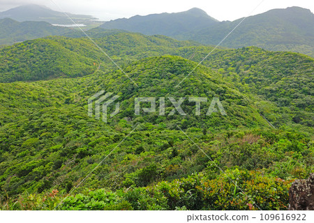 石垣島能總山的風景 石垣島能總山的風景 109616922