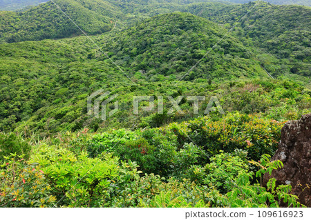 石垣島能總山的風景 石垣島能總山的風景 109616923