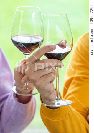 Celebratory Red Wine Toast Celebratory Red Wine Toast 109617295