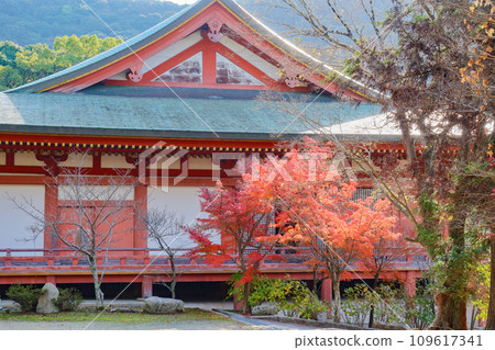 秋天的神戶、太山寺正殿和秋葉 秋天的神戶、太山寺正殿和秋葉 109617341