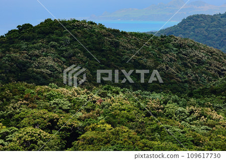 石垣島、能所小岳展望台的風景 石垣島、能所小岳展望台的風景 109617730