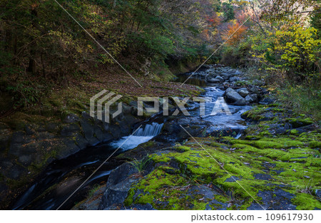 river flow and fallen leaves river flow and fallen leaves 109617930